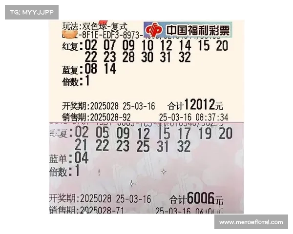 双色球大奖再现神奇奇迹，千万富翁诞生背后的幸运密码揭秘